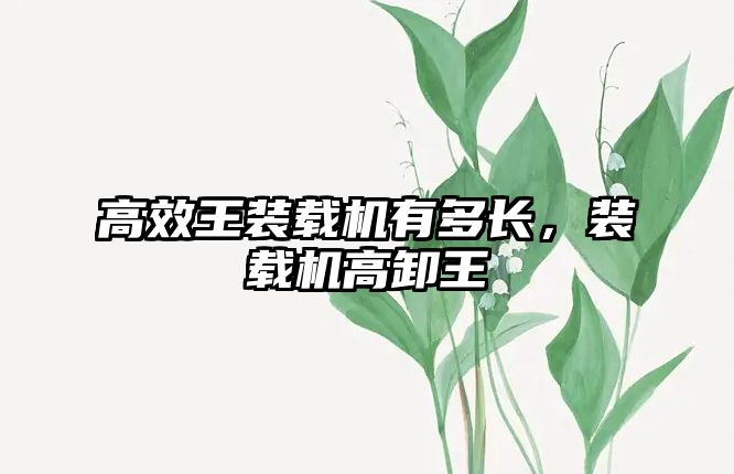 高效王裝載機(jī)有多長，裝載機(jī)高卸王