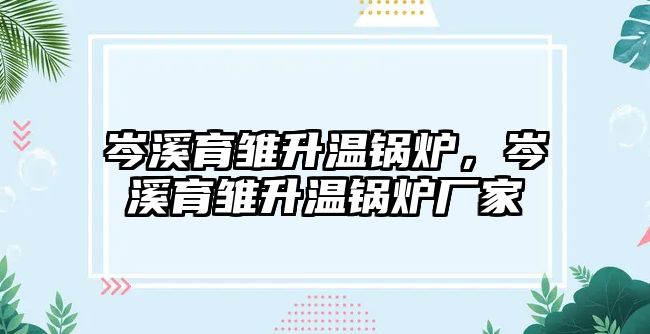 岑溪育雛升溫鍋爐，岑溪育雛升溫鍋爐廠家