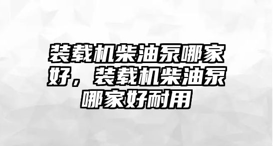 裝載機(jī)柴油泵哪家好，裝載機(jī)柴油泵哪家好耐用