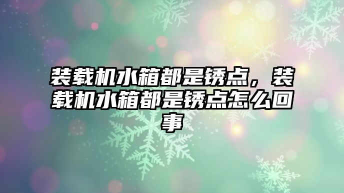 裝載機水箱都是銹點，裝載機水箱都是銹點怎么回事