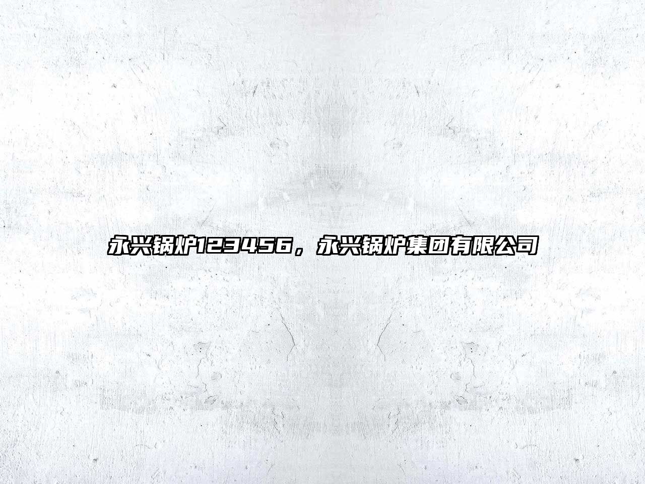 永興鍋爐123456，永興鍋爐集團(tuán)有限公司