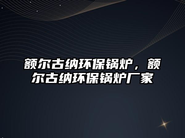 額爾古納環(huán)保鍋爐，額爾古納環(huán)保鍋爐廠家