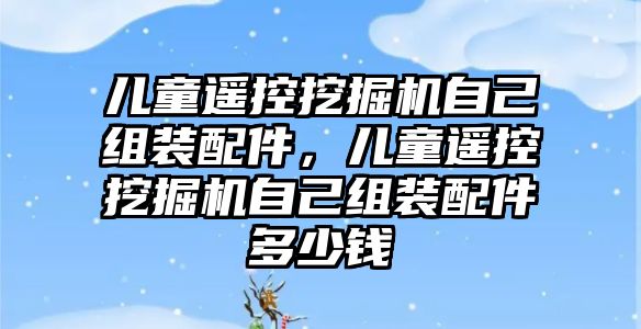 兒童遙控挖掘機(jī)自己組裝配件，兒童遙控挖掘機(jī)自己組裝配件多少錢