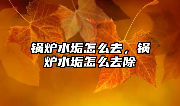 鍋爐水垢怎么去，鍋爐水垢怎么去除