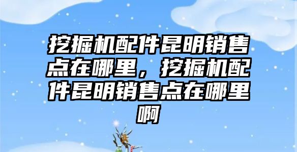 挖掘機(jī)配件昆明銷售點(diǎn)在哪里，挖掘機(jī)配件昆明銷售點(diǎn)在哪里啊