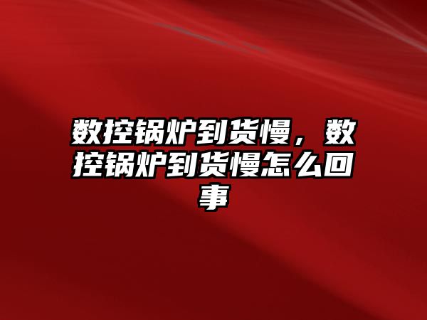 數(shù)控鍋爐到貨慢，數(shù)控鍋爐到貨慢怎么回事