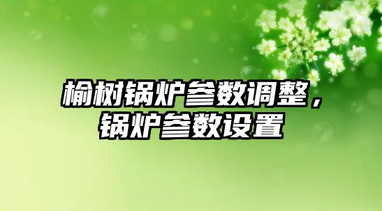 榆樹鍋爐參數(shù)調(diào)整，鍋爐參數(shù)設置