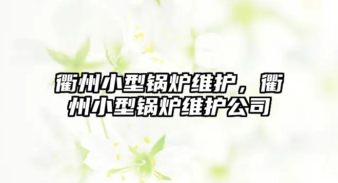 衢州小型鍋爐維護，衢州小型鍋爐維護公司
