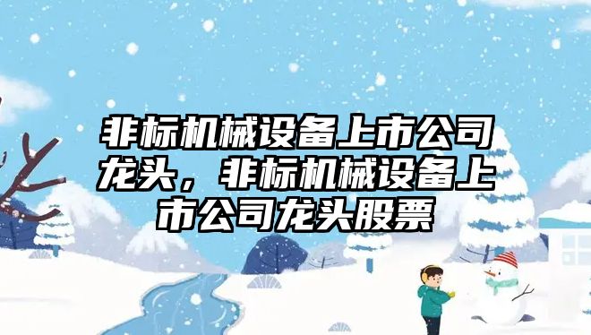 非標機械設備上市公司龍頭，非標機械設備上市公司龍頭股票