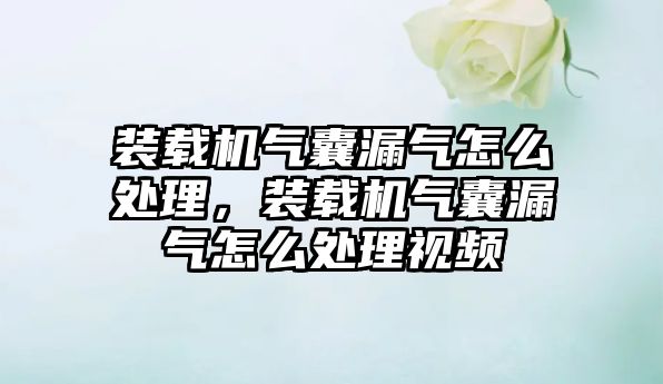 裝載機氣囊漏氣怎么處理，裝載機氣囊漏氣怎么處理視頻