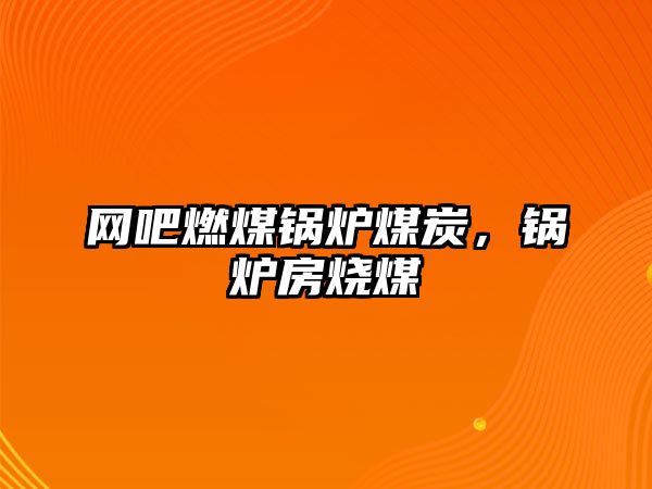 網(wǎng)吧燃煤鍋爐煤炭，鍋爐房燒煤