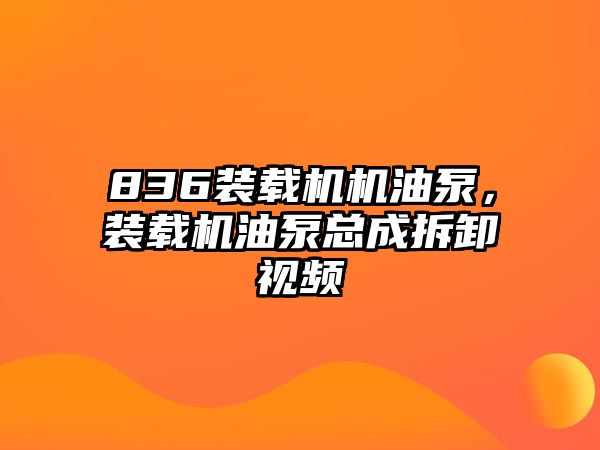 836裝載機機油泵，裝載機油泵總成拆卸視頻