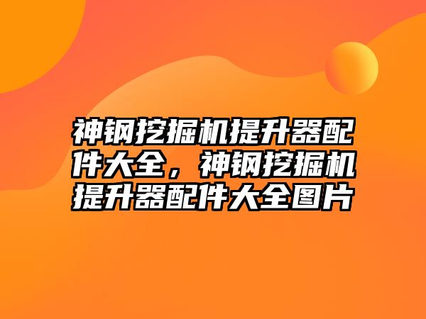 神鋼挖掘機(jī)提升器配件大全，神鋼挖掘機(jī)提升器配件大全圖片