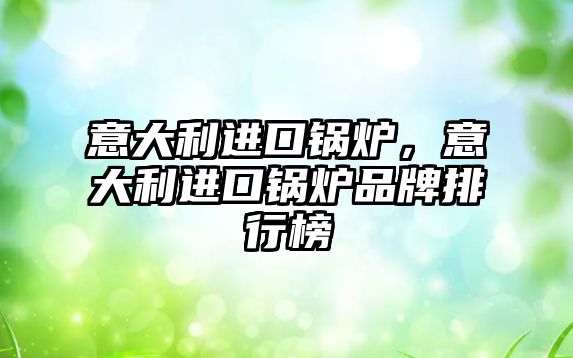 意大利進(jìn)口鍋爐，意大利進(jìn)口鍋爐品牌排行榜