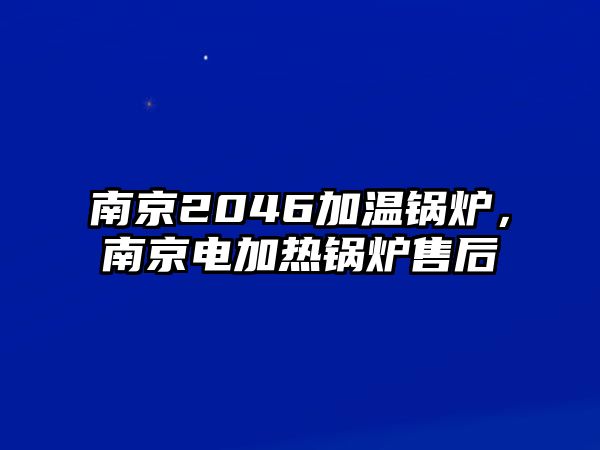 南京2046加溫鍋爐，南京電加熱鍋爐售后