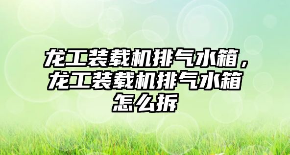 龍工裝載機排氣水箱，龍工裝載機排氣水箱怎么拆