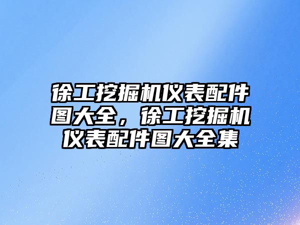 徐工挖掘機儀表配件圖大全，徐工挖掘機儀表配件圖大全集