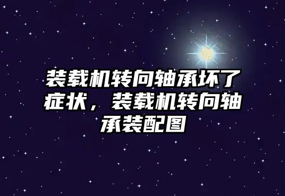 裝載機轉向軸承壞了癥狀，裝載機轉向軸承裝配圖