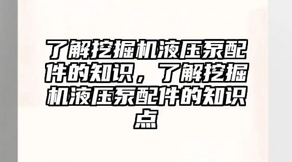 了解挖掘機液壓泵配件的知識，了解挖掘機液壓泵配件的知識點