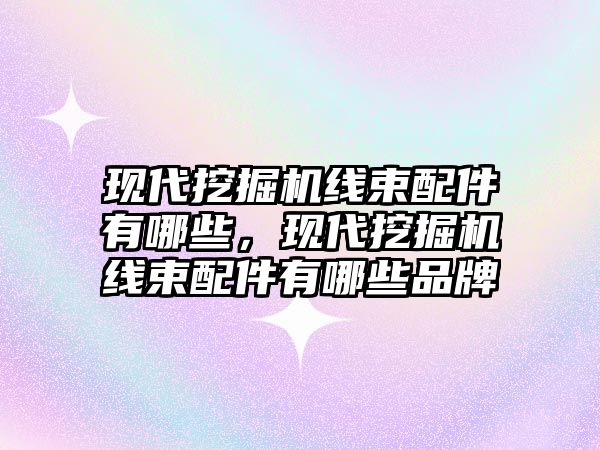 現(xiàn)代挖掘機線束配件有哪些，現(xiàn)代挖掘機線束配件有哪些品牌