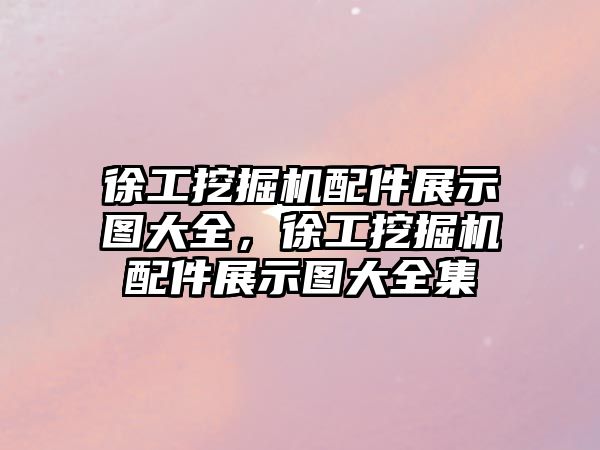 徐工挖掘機配件展示圖大全，徐工挖掘機配件展示圖大全集