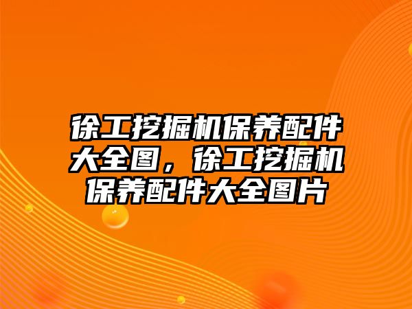 徐工挖掘機保養(yǎng)配件大全圖，徐工挖掘機保養(yǎng)配件大全圖片