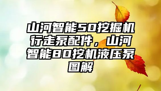 山河智能50挖掘機行走泵配件，山河智能80挖機液壓泵圖解