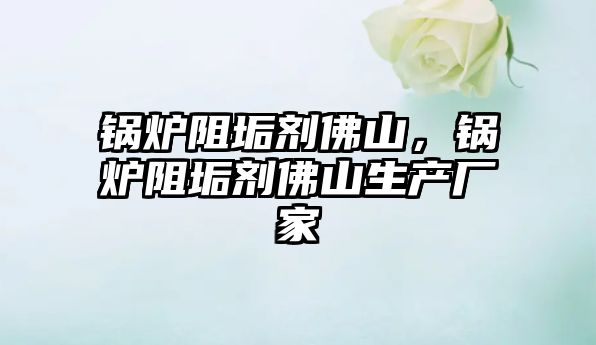 鍋爐阻垢劑佛山，鍋爐阻垢劑佛山生產(chǎn)廠家