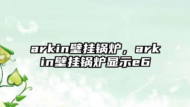 arkin壁掛鍋爐，arkin壁掛鍋爐顯示e6