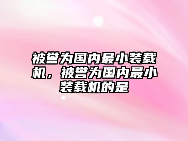 被譽(yù)為國(guó)內(nèi)最小裝載機(jī)，被譽(yù)為國(guó)內(nèi)最小裝載機(jī)的是