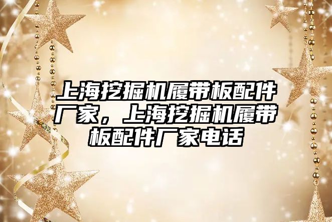 上海挖掘機履帶板配件廠家，上海挖掘機履帶板配件廠家電話