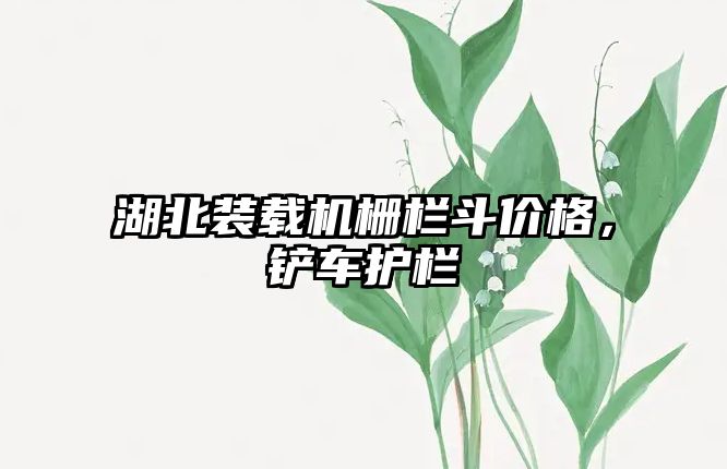 湖北裝載機(jī)柵欄斗價(jià)格，鏟車護(hù)欄