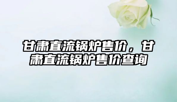 甘肅直流鍋爐售價，甘肅直流鍋爐售價查詢