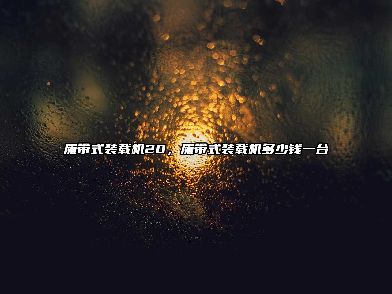 履帶式裝載機(jī)20，履帶式裝載機(jī)多少錢(qián)一臺(tái)