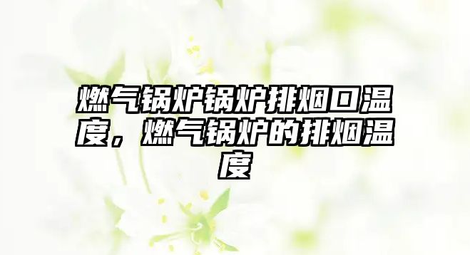 燃?xì)忮仩t鍋爐排煙口溫度，燃?xì)忮仩t的排煙溫度