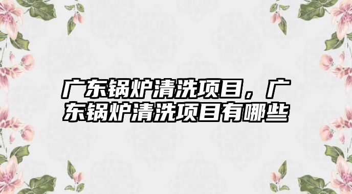 廣東鍋爐清洗項(xiàng)目，廣東鍋爐清洗項(xiàng)目有哪些