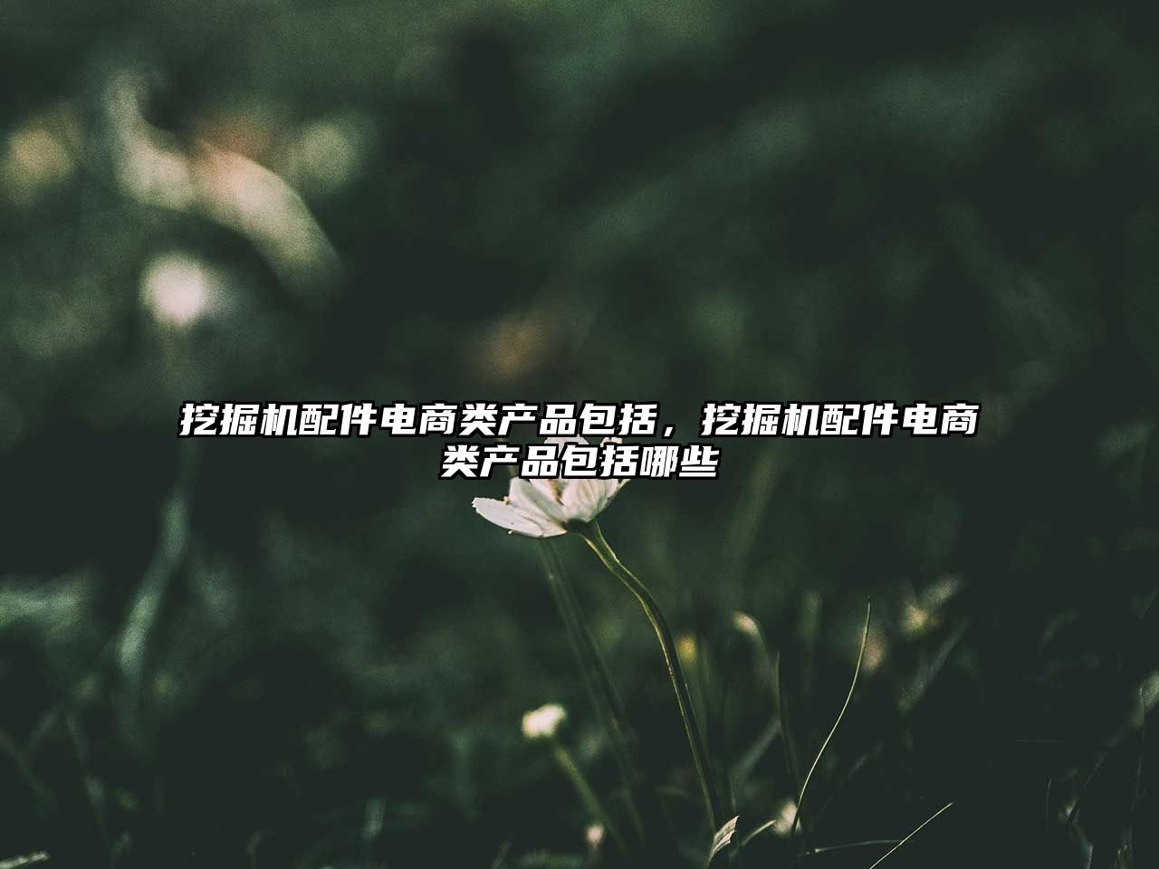 挖掘機配件電商類產(chǎn)品包括，挖掘機配件電商類產(chǎn)品包括哪些