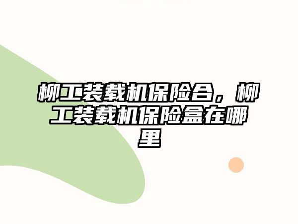 柳工裝載機(jī)保險(xiǎn)合，柳工裝載機(jī)保險(xiǎn)盒在哪里