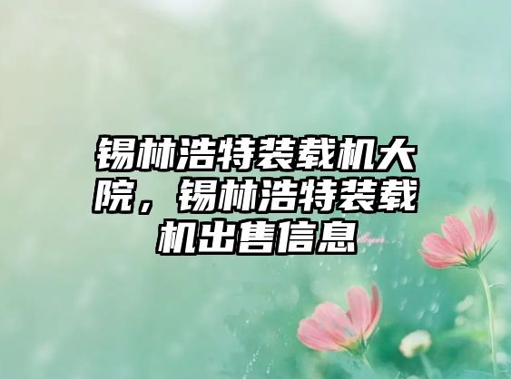 錫林浩特裝載機(jī)大院，錫林浩特裝載機(jī)出售信息