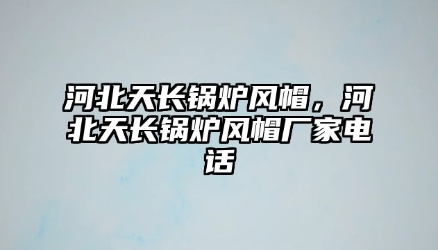 河北天長(zhǎng)鍋爐風(fēng)帽，河北天長(zhǎng)鍋爐風(fēng)帽廠家電話