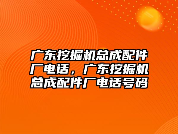 廣東挖掘機(jī)總成配件廠電話，廣東挖掘機(jī)總成配件廠電話號碼