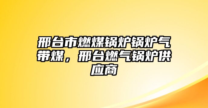 邢臺市燃煤鍋爐鍋爐氣帶煤，邢臺燃?xì)忮仩t供應(yīng)商