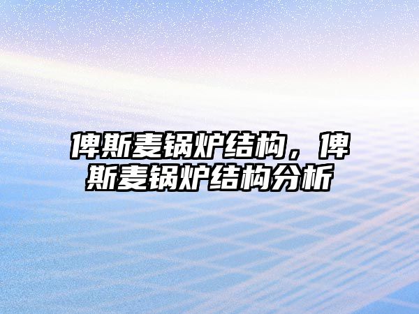 俾斯麥鍋爐結(jié)構(gòu)，俾斯麥鍋爐結(jié)構(gòu)分析