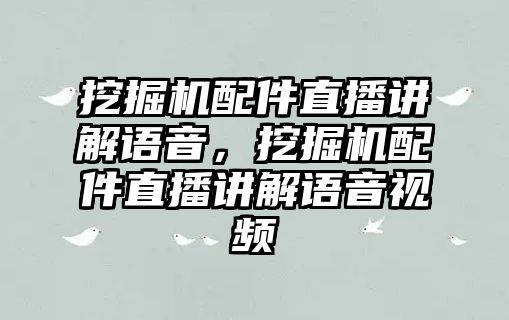 挖掘機配件直播講解語音，挖掘機配件直播講解語音視頻