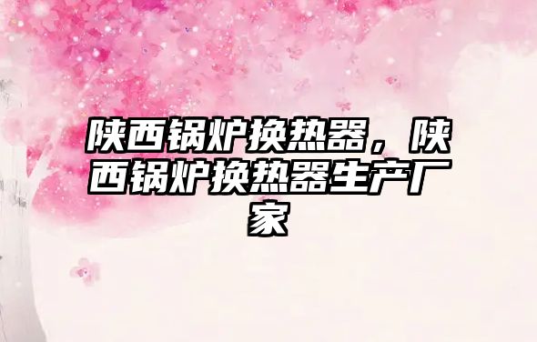 陜西鍋爐換熱器，陜西鍋爐換熱器生產(chǎn)廠家