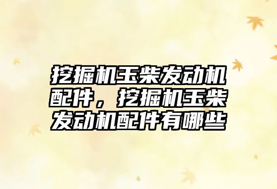 挖掘機玉柴發(fā)動機配件，挖掘機玉柴發(fā)動機配件有哪些