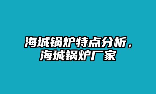 海城鍋爐特點分析，海城鍋爐廠家