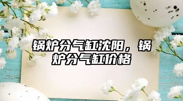 鍋爐分氣缸沈陽，鍋爐分氣缸價格
