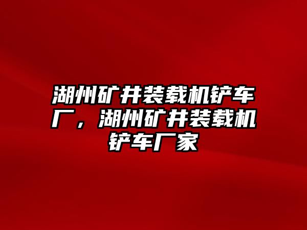 湖州礦井裝載機(jī)鏟車廠，湖州礦井裝載機(jī)鏟車廠家