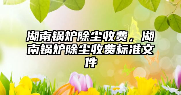 湖南鍋爐除塵收費，湖南鍋爐除塵收費標(biāo)準(zhǔn)文件